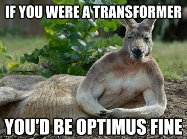 Transformers Kangaroo lying on its side saying "If you were a Transformer, you'd be Optimus Fine."