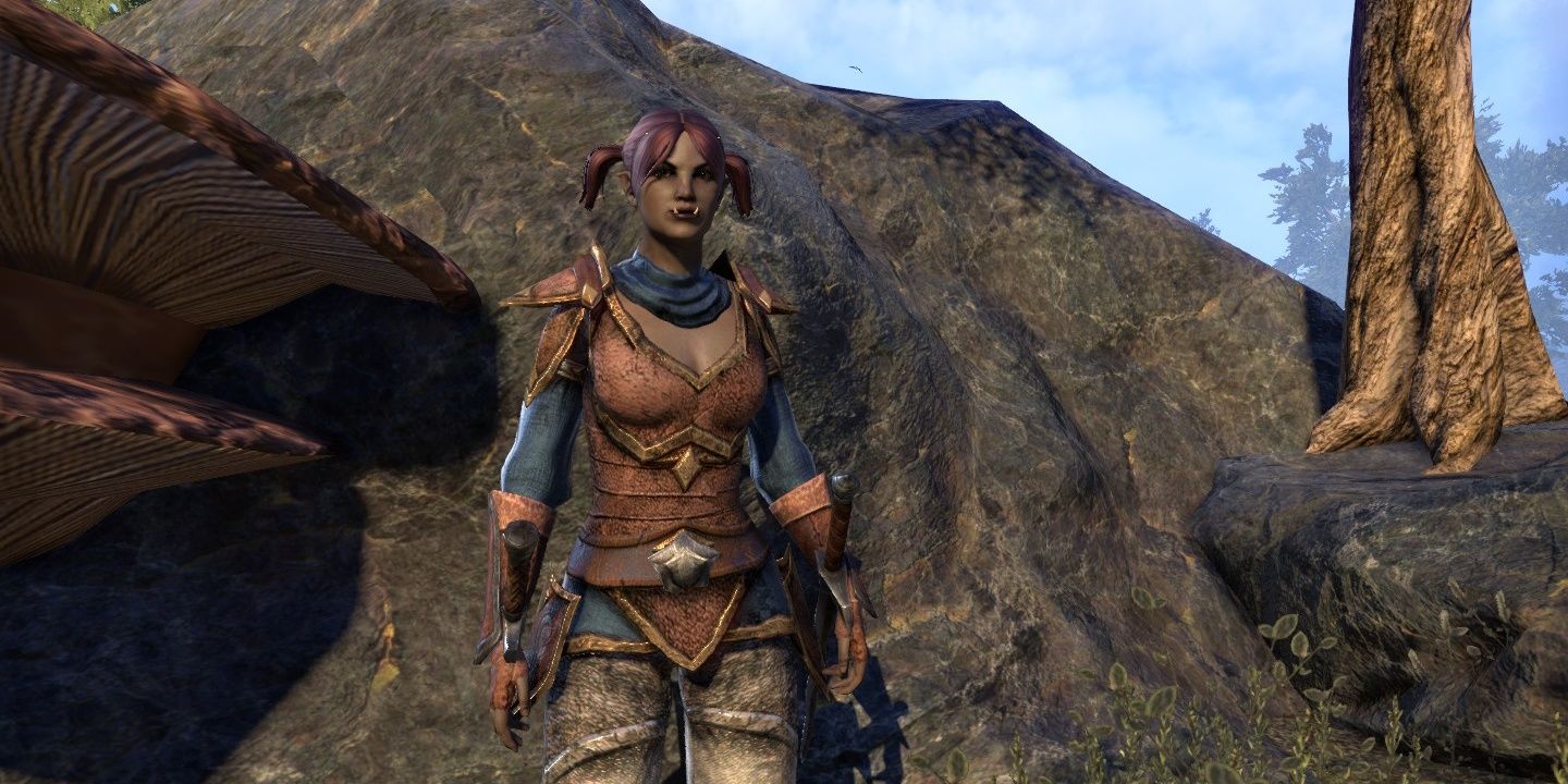 Orc Rogue ESO