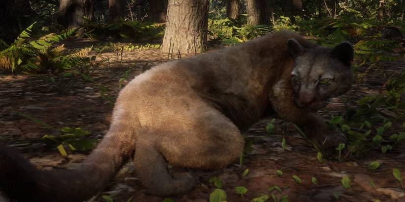 RDR2 Panther Crouched in Woods Afternoon