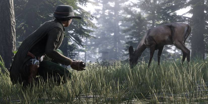 RDO Hunting A Deer Steathily
