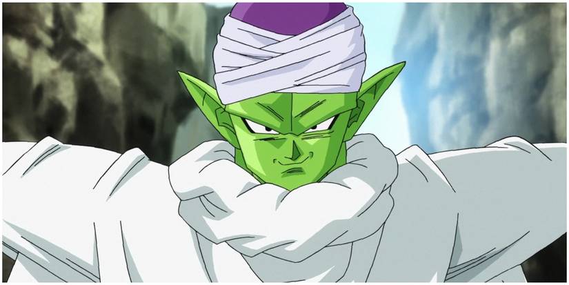 Piccolo Jr.