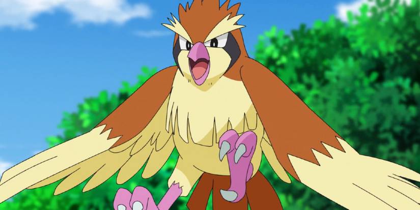 Pidgey in the Pokemon anime