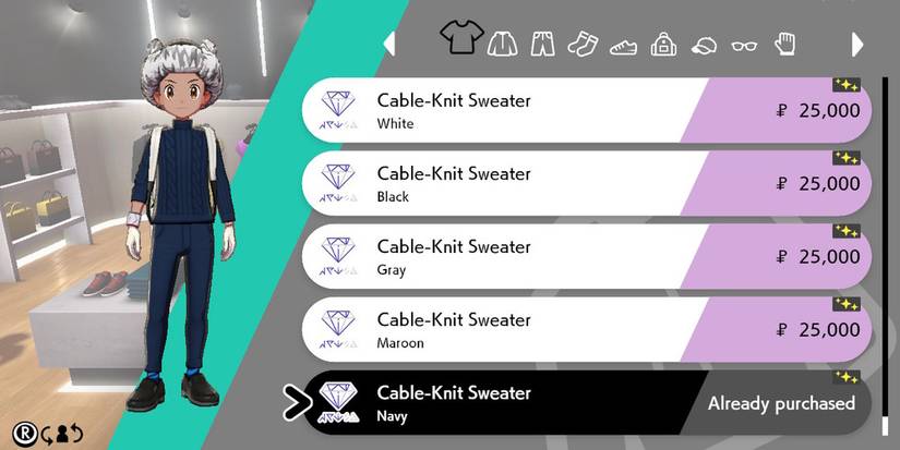 Circhester boutique in Pokemon Sword &amp; Shield