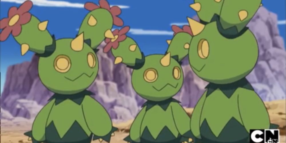 Three Maractus in Pokemon anime