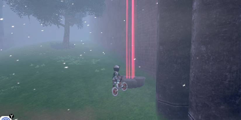 Wild Area Max Raid Den in Pokemon Sword &amp; Shield