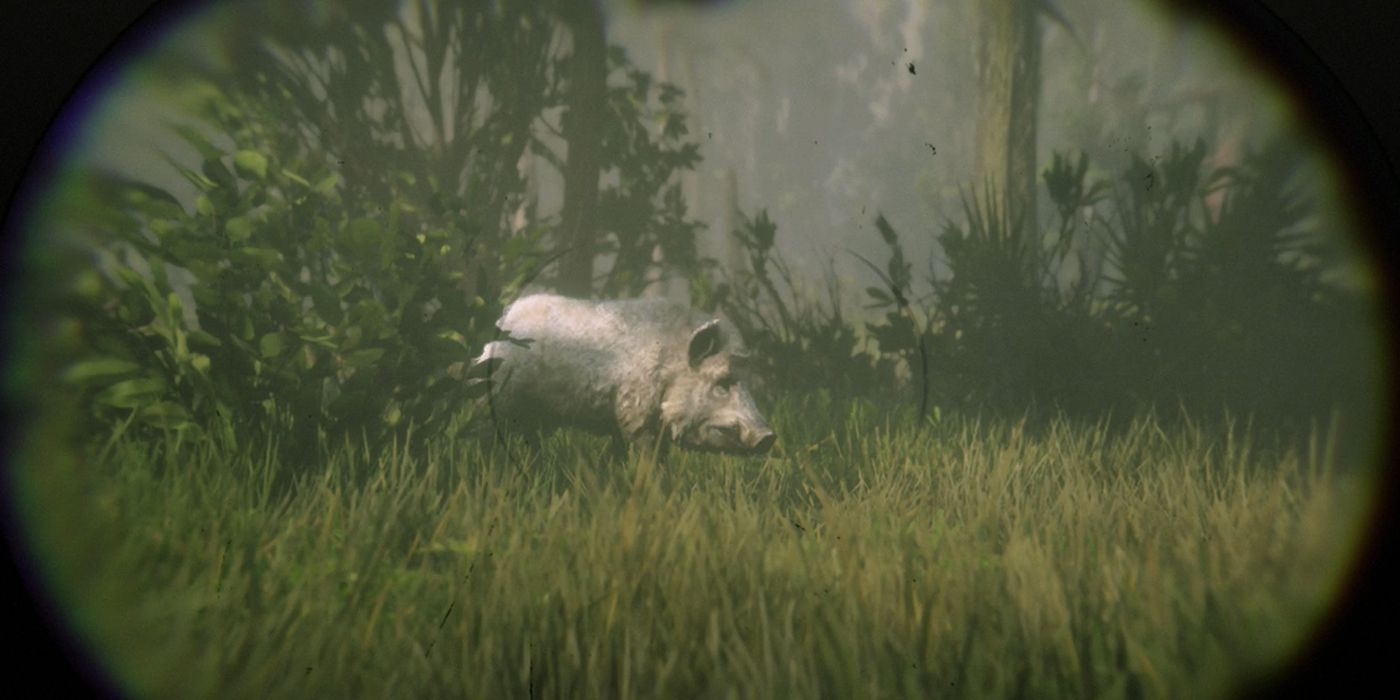 RDR2 LEGENDARY ANIMALS - Boar