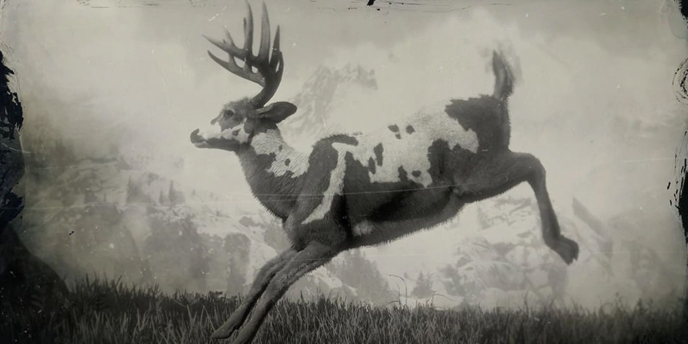 RDR2 LEGENDARY ANIMALS - Buck