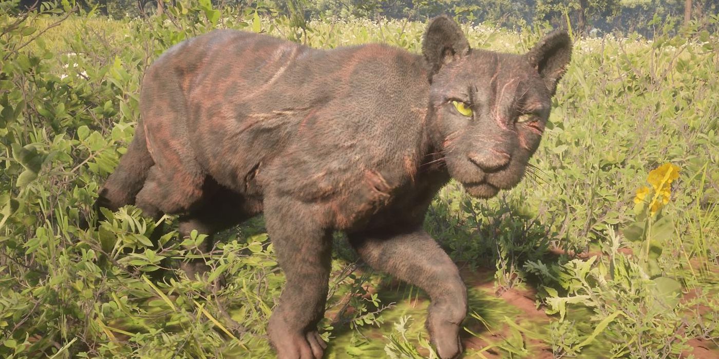 RDR2 LEGENDARY ANIMALS - Giaguaro panther