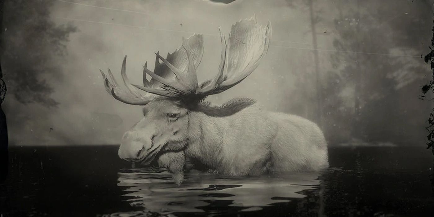 RDR2 LEGENDARY ANIMALS - Moose