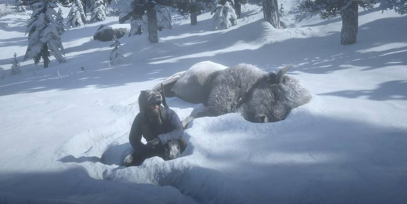 RDR2 LEGENDARY ANIMALS - White Bison