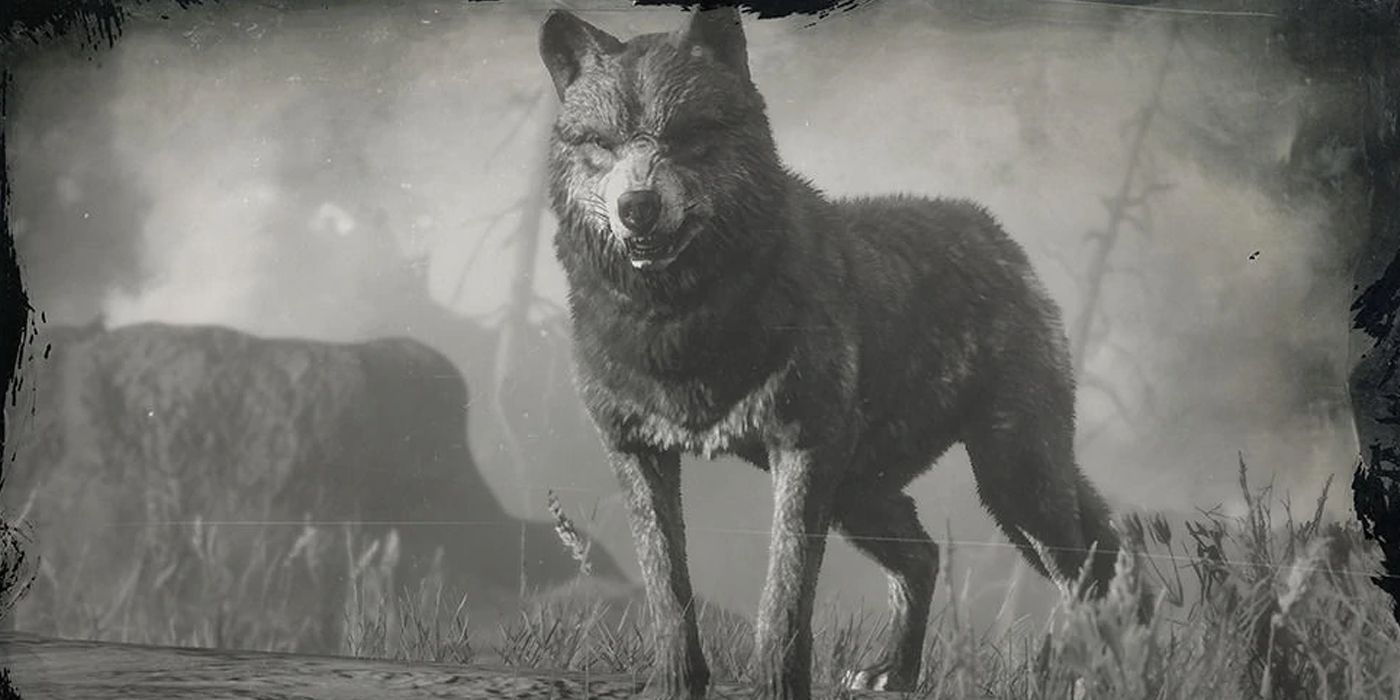 RDR2 LEGENDARY ANIMALS - Wolf