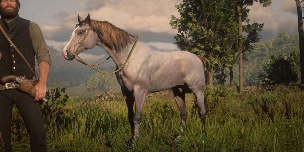 Red Dead Online Rose Grey Bay Arabian Horse Screenshot