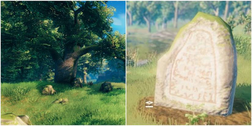 Runestone Vale Valheim: All Rune Stones In The Meadows & What They Say