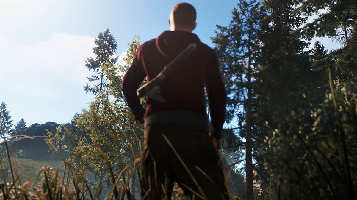 Rust Mood Rust Adds New Mode for Casual Players