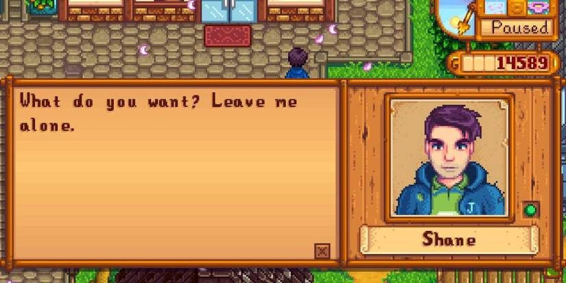 Shane Part Of the Community Passive Friendship Stardew Valley Best Mods