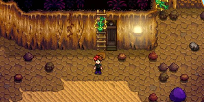 Skull Cavern Elevator Stardew Valley Best Mods