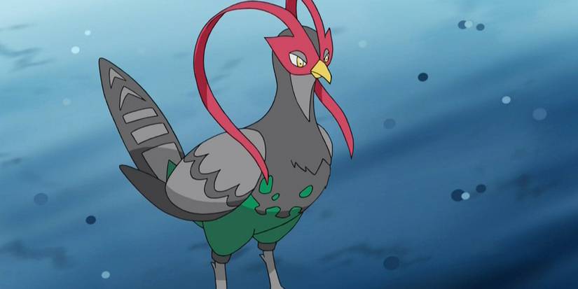 Unfezant in the Pokemon anime