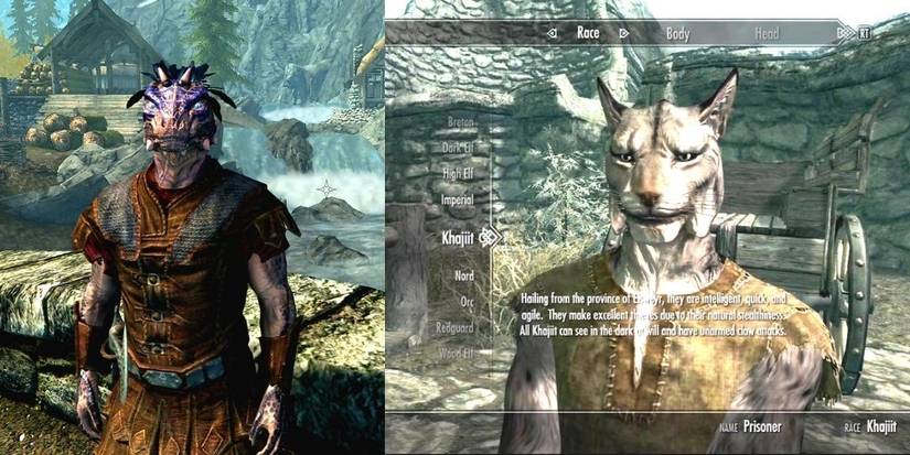 Skyrim Argonian And Khajit