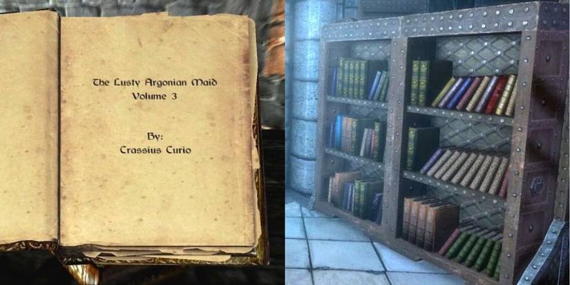 Skyrim Lusty Argonian Maid Book And Bookshelf