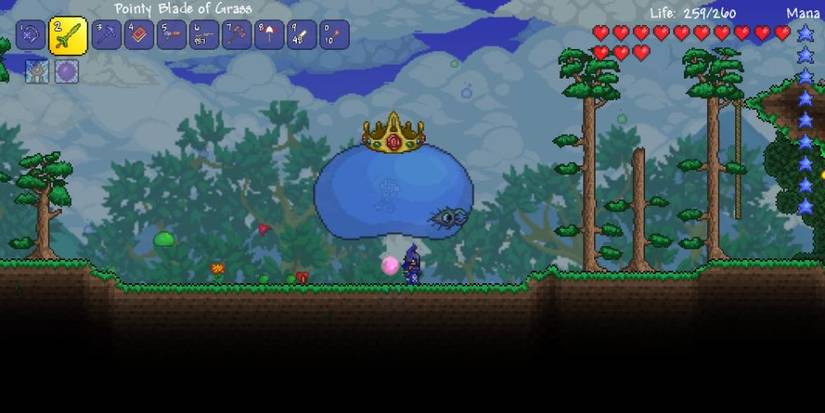 Slime Rain Slime King Terraria Boss