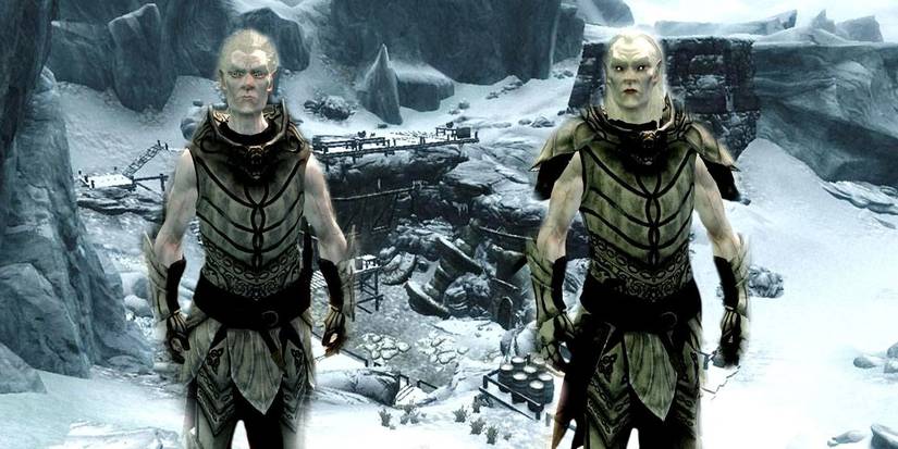Snow Elf - Skyrim Falmer Facts