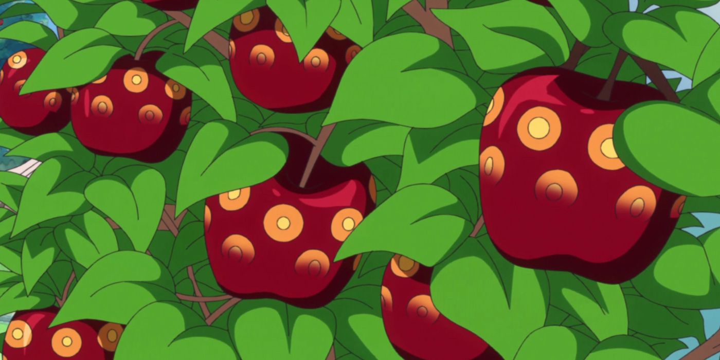 One Piece: The SMILE Fruits Growing On The Tree