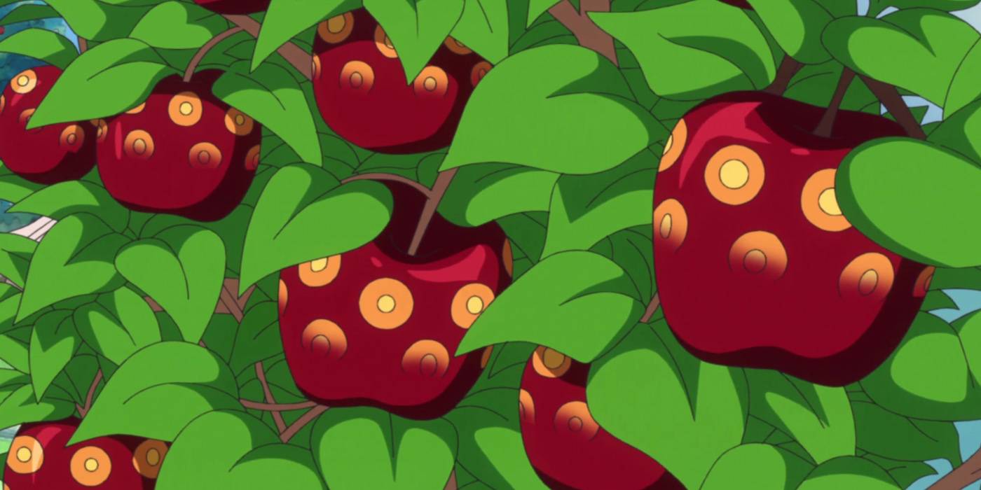One Piece 10 Things You Need To Know About Artificial Devil Fruits One Piece 10 Things You Need To Know About Artificial Devil Fruits