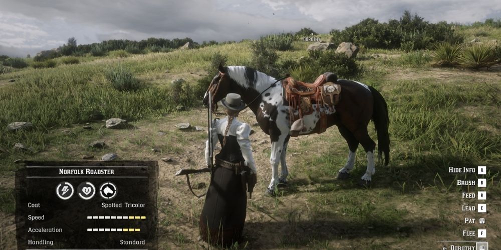 Red Dead Online Spotted Tricolor Norfolk Roadster Horse Screenshot