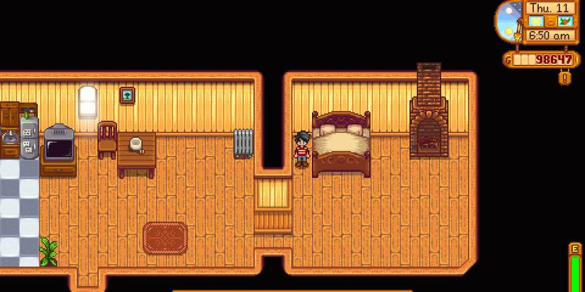 Stardew Valley Bed