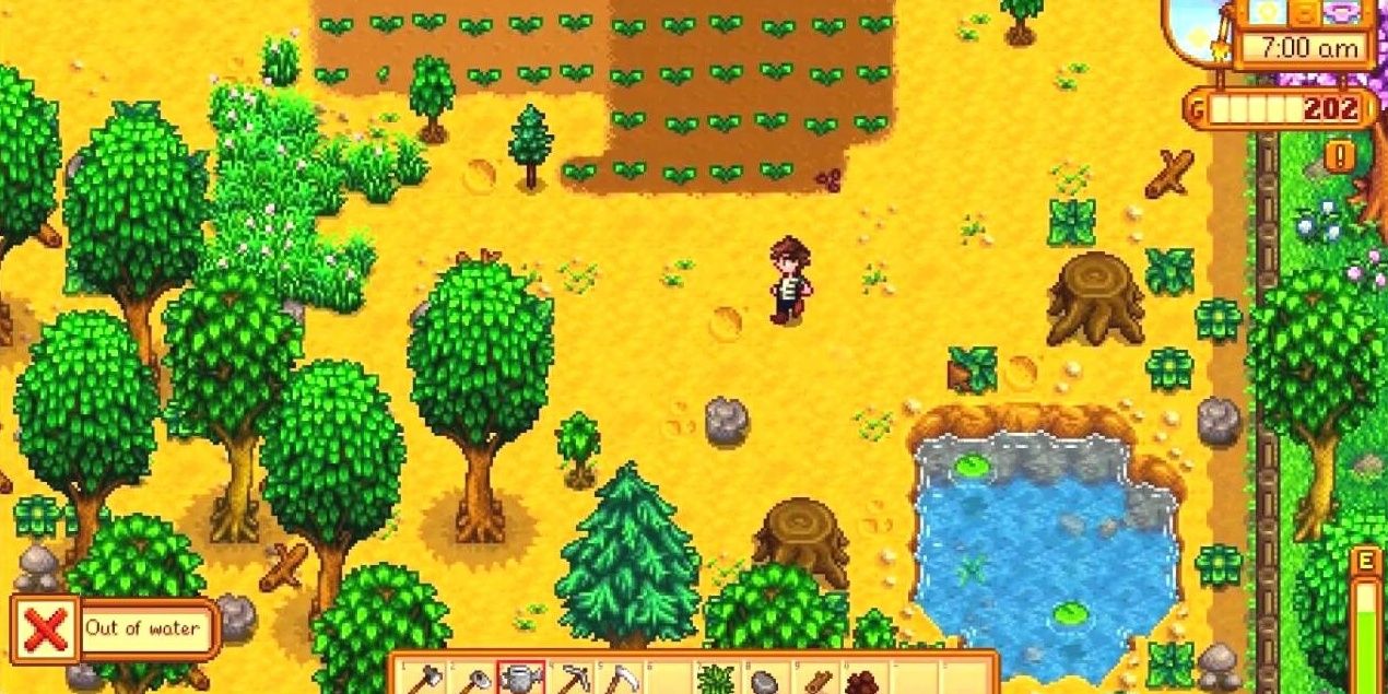 Stardew Valley Farm And Pond Out Of Water Watering Can