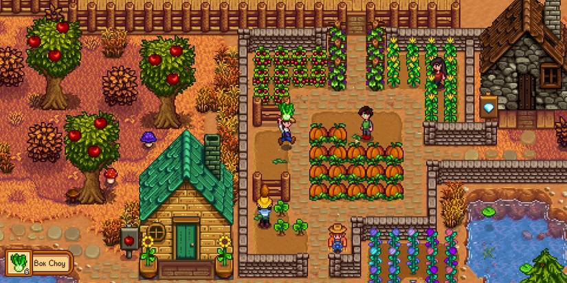Stardew Valley Farm Layout