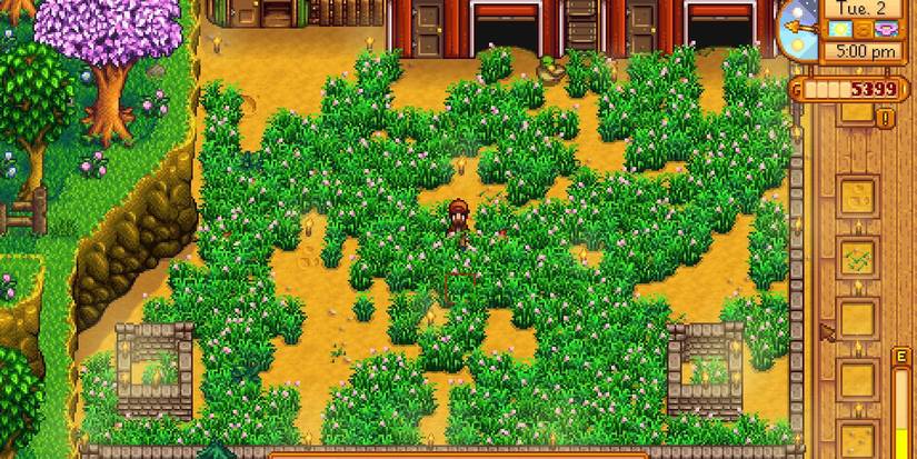 Stardew Valley Grass