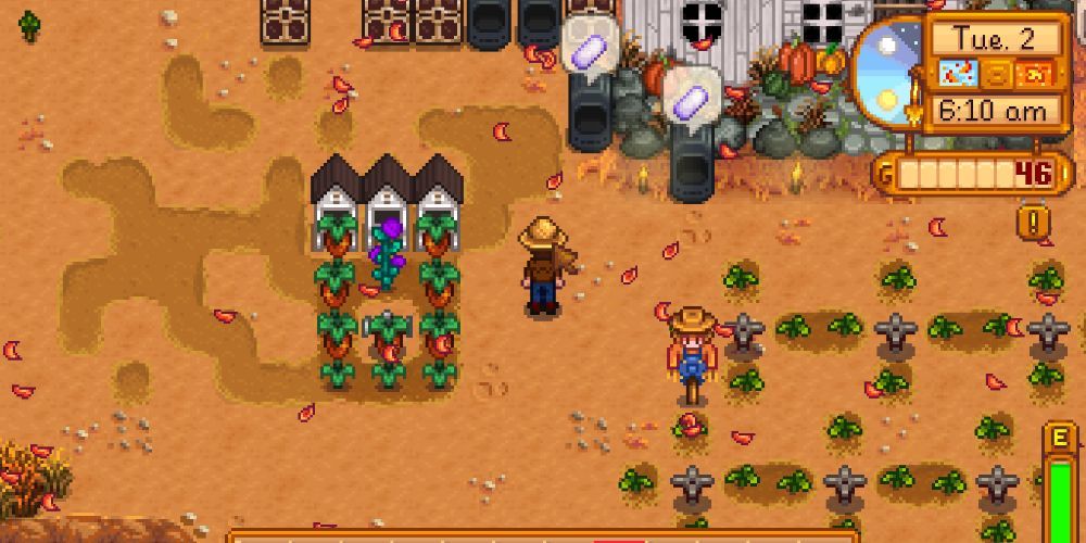 Stardew Valley Sweet Gem Berry Plot