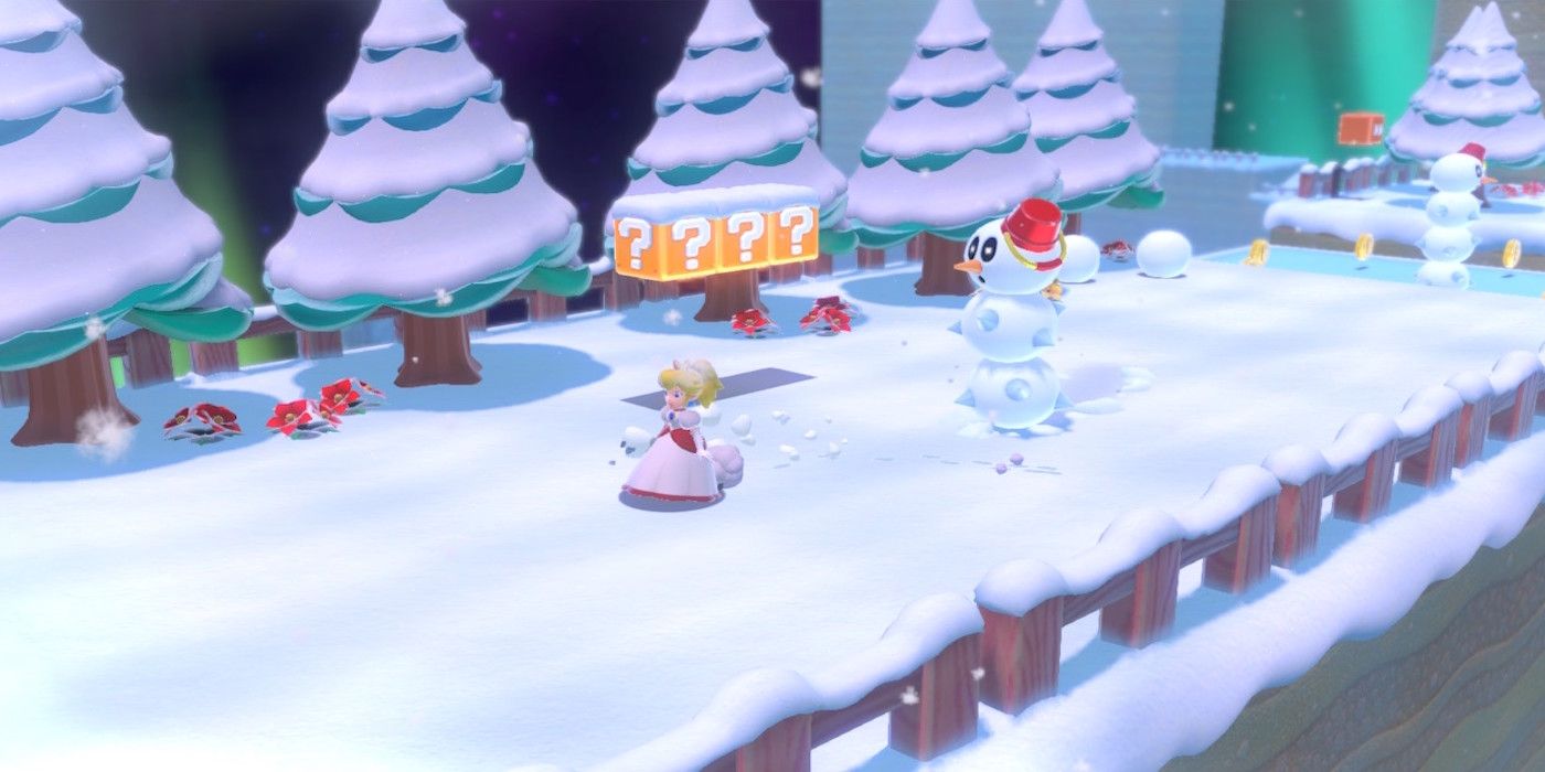 Super Mario 3D World + Bowser's Fury gameplay screenshot