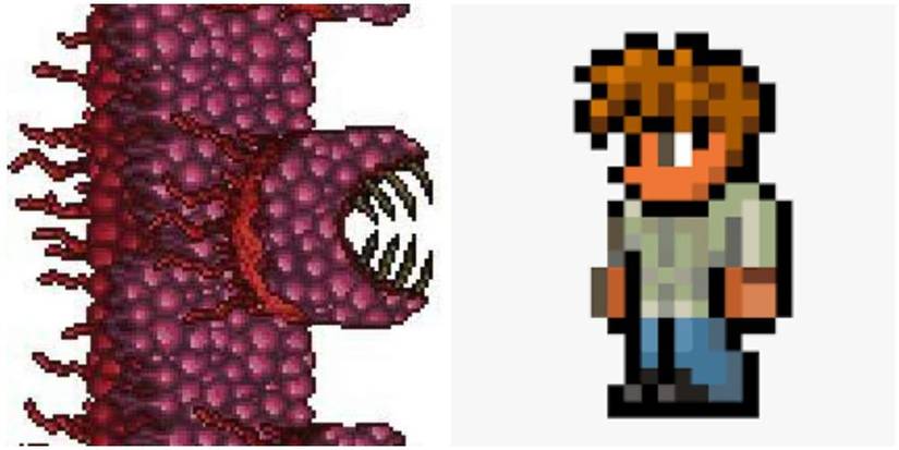 Terraria Guide Wall of Flesh Boss King Slime