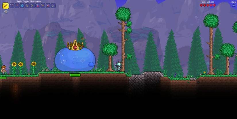Terraria King Slime Boss Crowned
