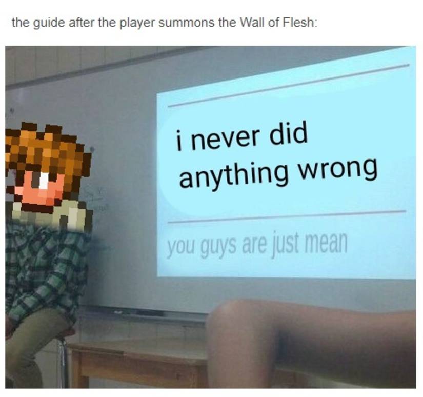 Terraria Meme Wall of Flesh Guide Player Mean