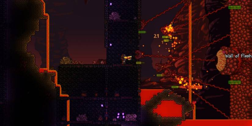 Terraria Wall Of Flesh Full Leeches