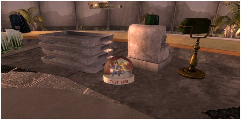 Test Site snow globe behind a cash register