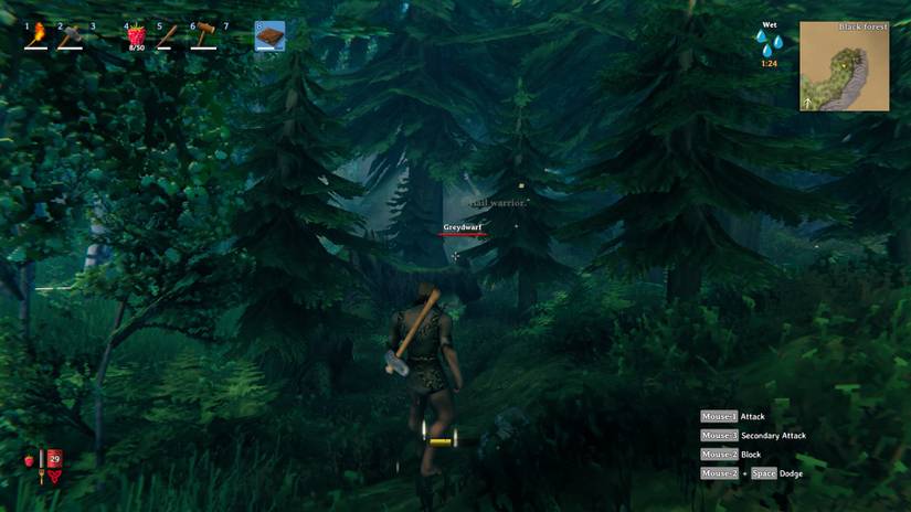 The Black Forest Valheim