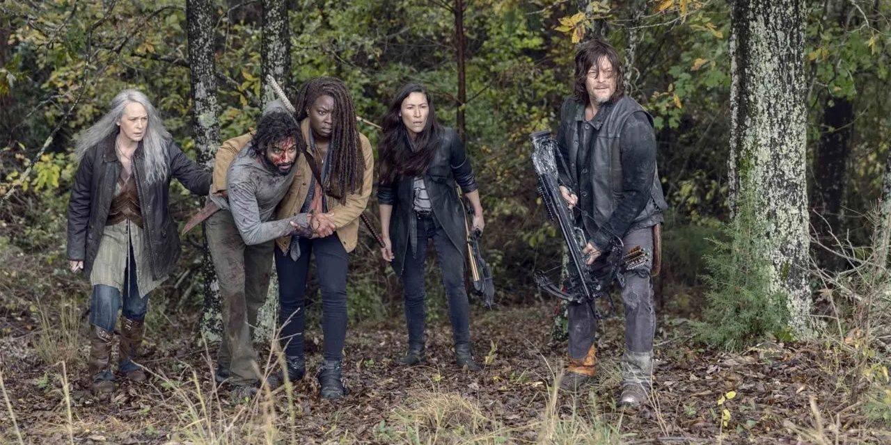 Daryl, Michonne, Carol & Siddiq From The Walking Dead