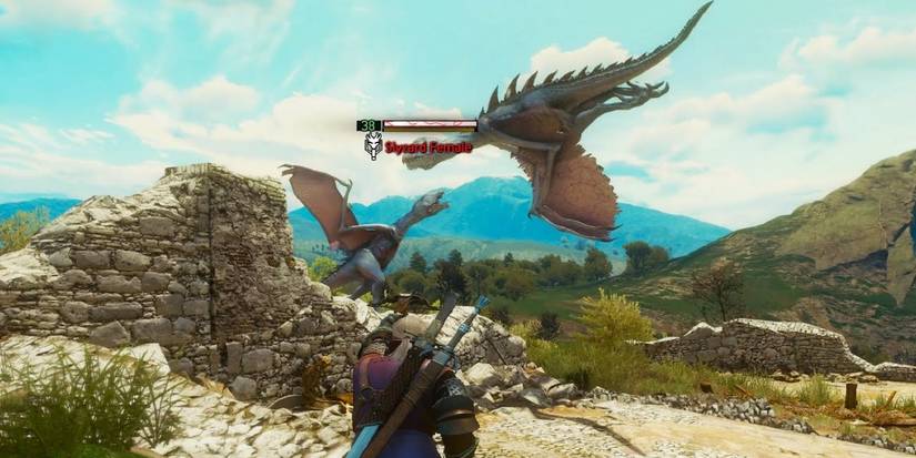 The Witcher 3 Slyzard