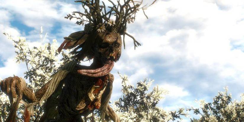 The Witcher 3 White Lady