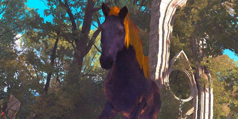 Umbra From The Witcher 3