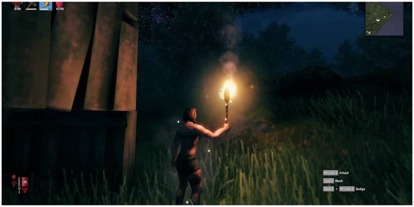 Valheim Torch