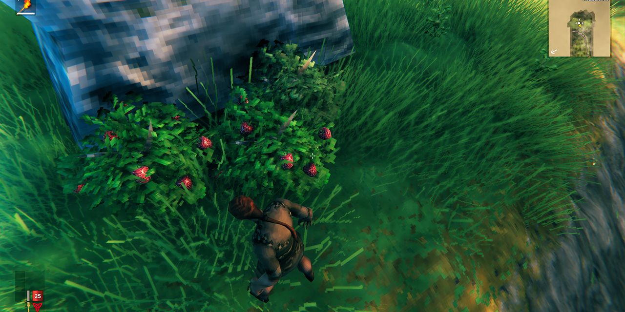 Valheim screenshot avatar picking raspberries in meadows