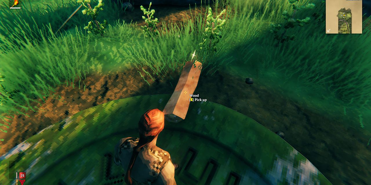 Valheim screenshot avatar picking up branches for wood
