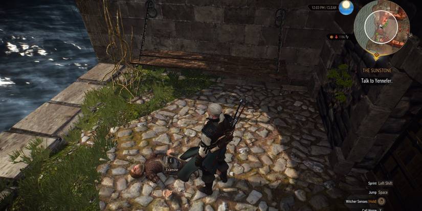 Tyrion in The Witcher 3