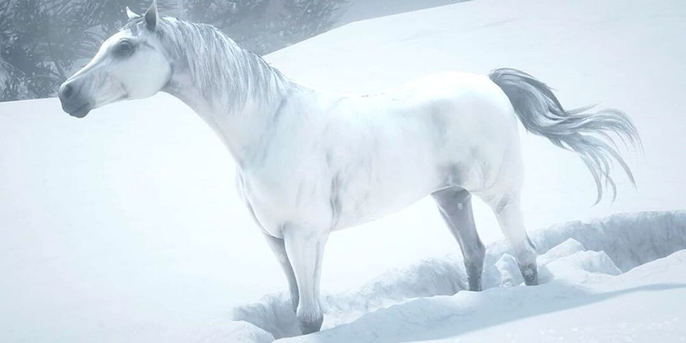 Red Dead Online White Arabian Horse Screenshot