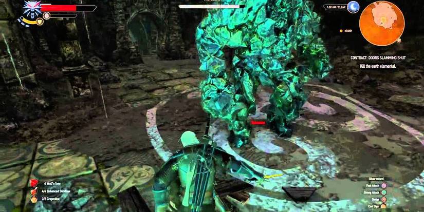 The Witcher Killing An Earth Elemental